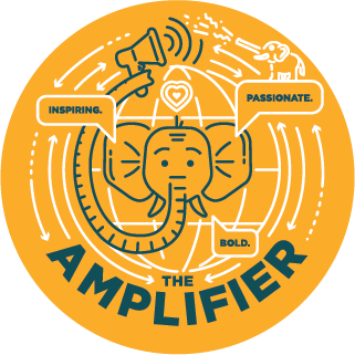 The Amplifier